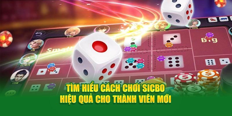 Tìm Hiểu Cách Chơi Sicbo Hiệu Quả Cho Thành Viên Mới